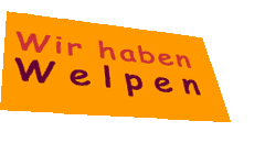 Flugobjekt