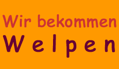 Flugobjekt