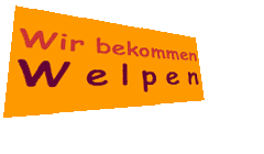 Flugobjekt