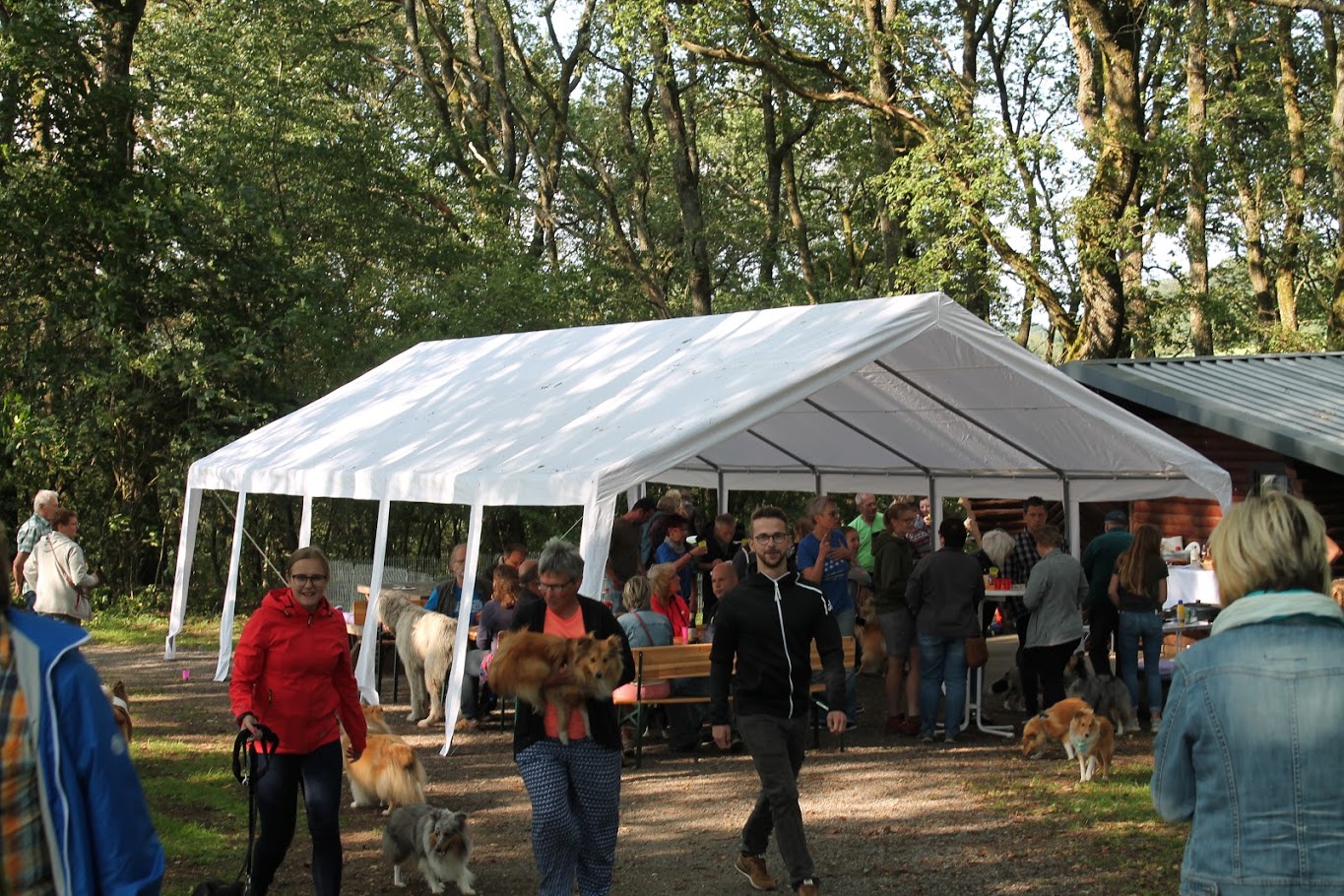 Sheltietreffen 2019
