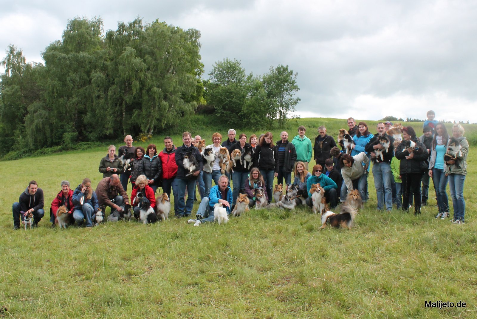 Sheltietreffen 21.05.2011