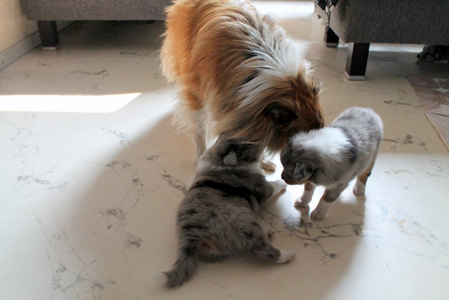 Spiel mit Tante Ruby