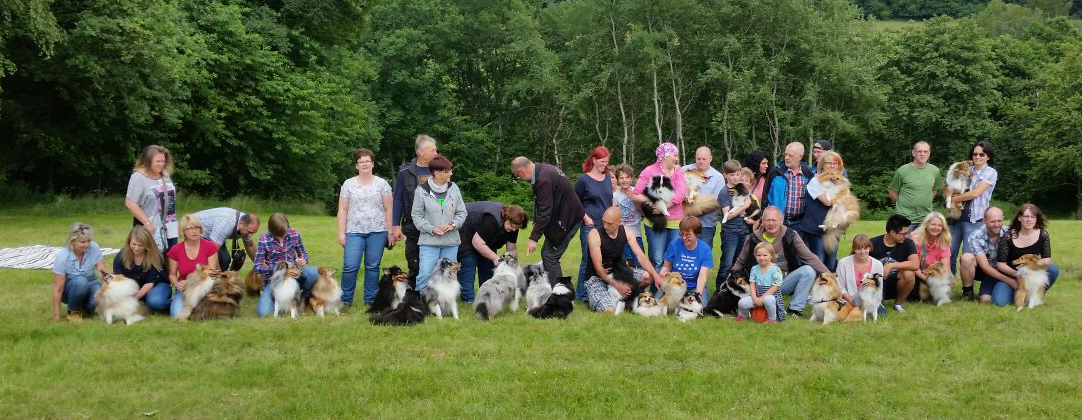 Sheltietreffen