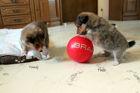 Ballspiel