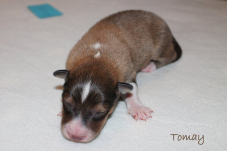 Tomay am 4.Tag