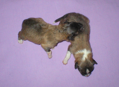 Max und Moritz 1.Tag