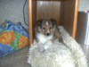 Mein Versteck