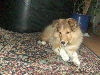 Nelli 11.Woche