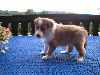 Naila 4.Woche