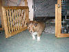 Nele 4.Woche