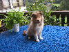 Nele 8.Woche