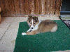 Naila 8.Woche