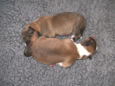 Naila und Nele 1.Tag