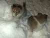 Tiefschnee