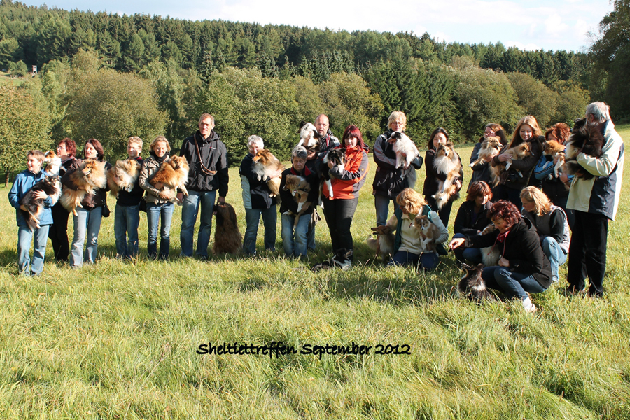 Sheltietreffen 22.09.2012