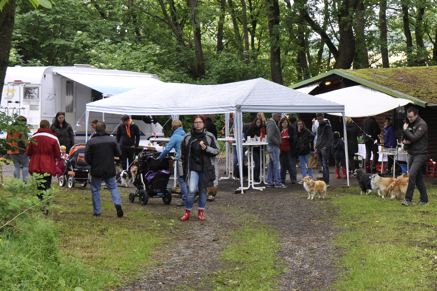 Sheltietreffen 22.09.2012